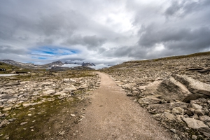 2025-08-16-12-53-35-NZ7_0379