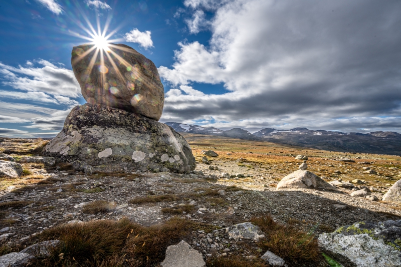 2025-08-16-16-00-39-NZ7_0484