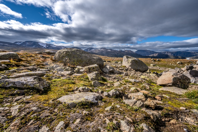 2025-08-16-16-01-47-NZ7_0485