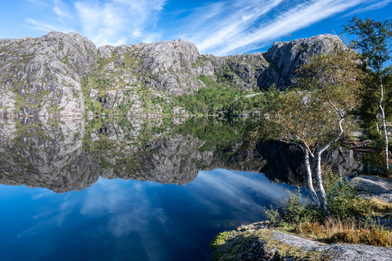 2025-08-25-10-43-10-NZ8_7537