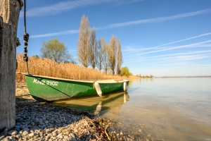 2026-04-08-10-01-21-NIKON-Z-7