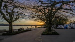 2026-04-09-19-58-48-NIKON-Z-8