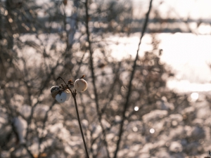 2026-01-11-09-41-40-GFX100S-II