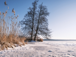 2026-01-11-09-59-29-GFX100S-II