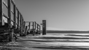 2026-01-11-10-18-55-GFX100S-II