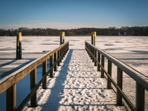 2026-01-11-11-09-53-GFX100S-II