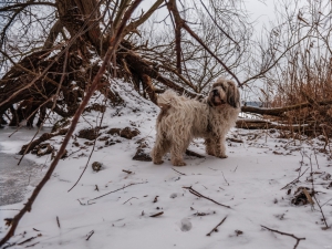 2026-02-01-09-59-03-GFX100S-II