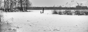2026-02-01-10-08-54-GFX100S-II