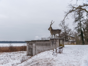 2026-02-01-10-11-43-GFX100S-II