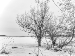 2026-02-01-10-21-02-GFX100S-II