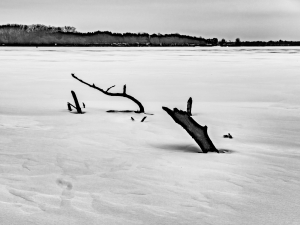 2026-02-01-10-37-48-GFX100S-II