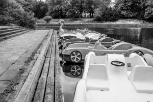 2026-06-14-08-34-50-NIKON-Z-f