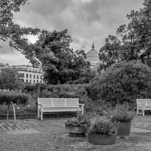2026-06-14-08-45-48-NIKON-Z-f
