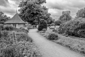 2026-06-14-08-48-24-NIKON-Z-f