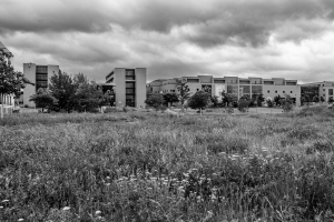 2026-06-14-09-06-04-NIKON-Z-f