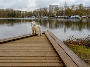 2026-03-15-09-08-56-GFX100S-II