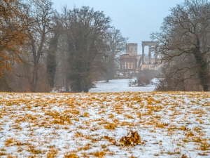 2026-02-08-09-18-41-NIKON-Z-8