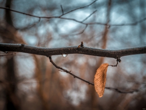 2026-02-08-09-20-45-NIKON-Z-8