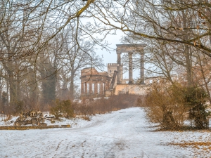 2026-02-08-09-23-25-NIKON-Z-8