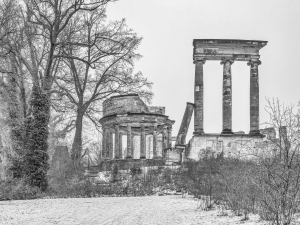 2026-02-08-09-25-02-NIKON-Z-8