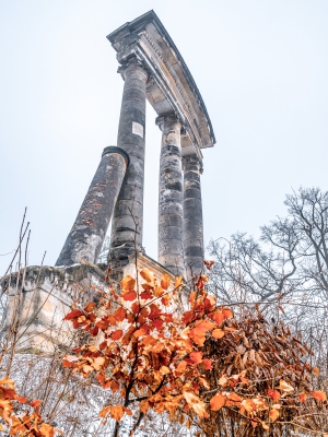 2026-02-08-09-27-06-NIKON-Z-8