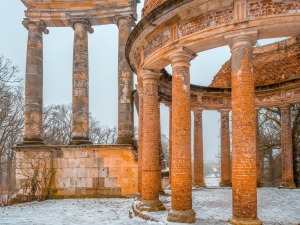 2026-02-08-09-28-58-NIKON-Z-8