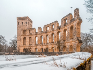 2026-02-08-09-30-11-NIKON-Z-8