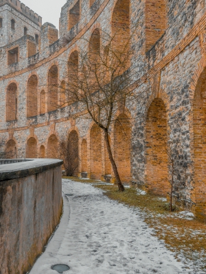 2026-02-08-09-31-23-NIKON-Z-8