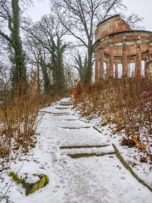 2026-02-08-09-37-11-NIKON-Z-8