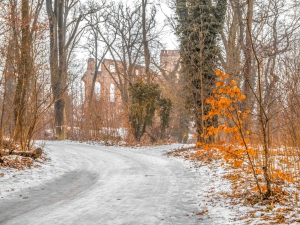 2026-02-08-09-54-46-NIKON-Z-8