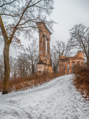 2026-02-08-09-57-23-NIKON-Z-8