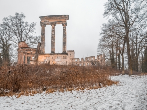 2026-02-08-09-58-40-NIKON-Z-8