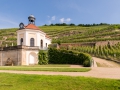 Schloss Wackerbarth