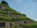 Schloss Wackerbarth