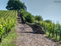 Schloss Wackerbarth
