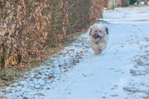 2026-02-15-09-16-25-X-H2