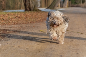 2026-02-15-09-18-20-X-H2