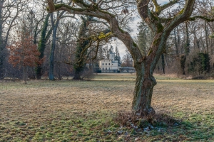 2026-02-15-09-21-32-X-H2