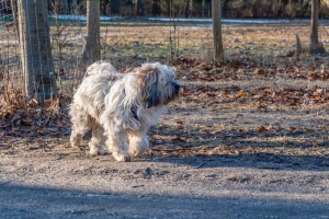 2026-02-15-09-37-13-X-H2