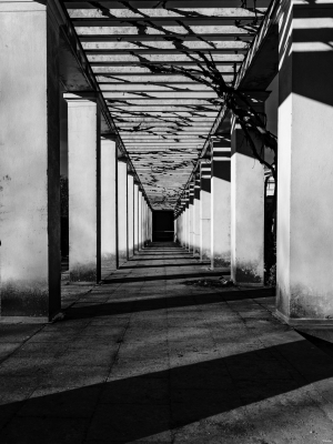 2026-02-15-09-39-26-X-H2