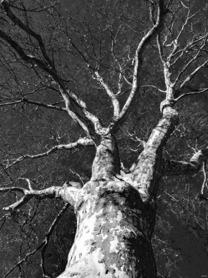 2026-02-15-09-41-19-X-H2