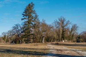 2026-02-15-09-42-13-X-H2