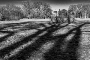 2026-02-15-09-42-47-X-H2