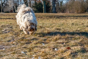 2026-02-15-09-46-06-X-H2