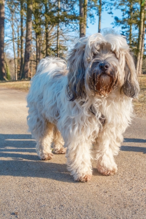 2026-02-15-09-46-46-X-H2