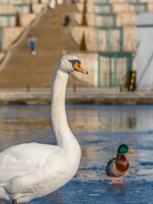 2026-02-15-10-06-26-X-H2