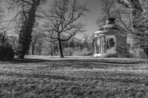 2026-02-15-10-31-07-X-H2