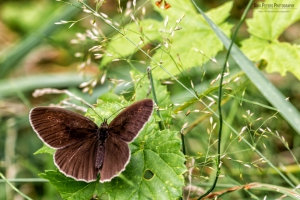 Nikon D800 f/10 1/40s ISO-100 105mm