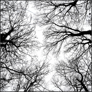 2025-01-10-09-06-43-NIKON-Z-6_2