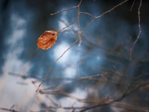 2026-02-05-14-13-45-GFX100S-II